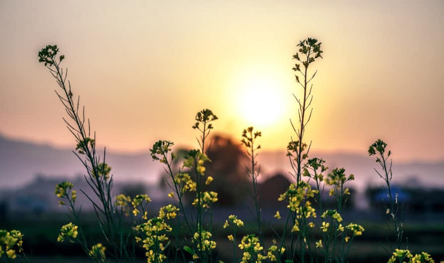 Бог будет всегда нести вас на своих руках
