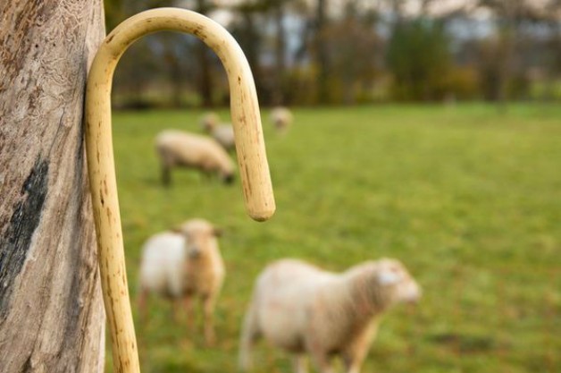 Библейское богословие и служение пастуха