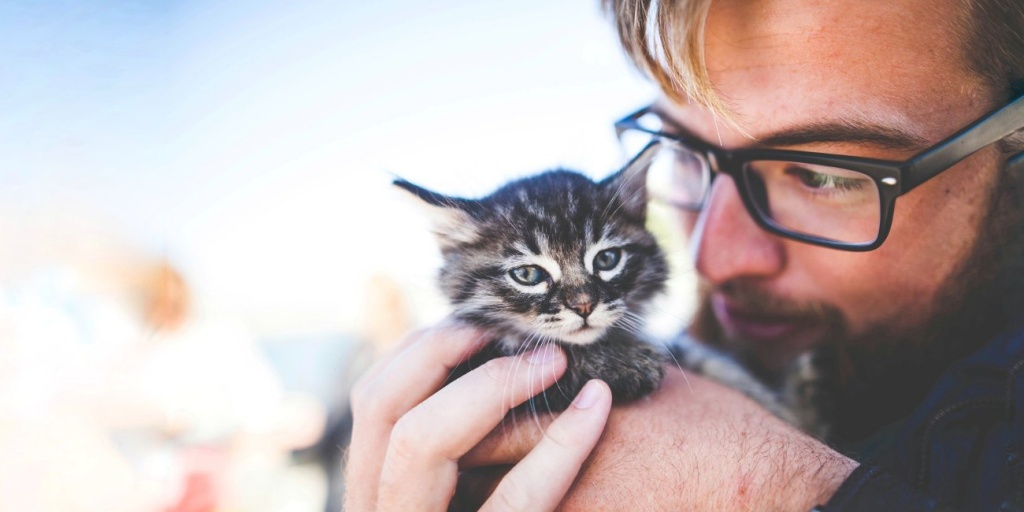 Кроткий значит слабый? Пасторские размышления о мягкости