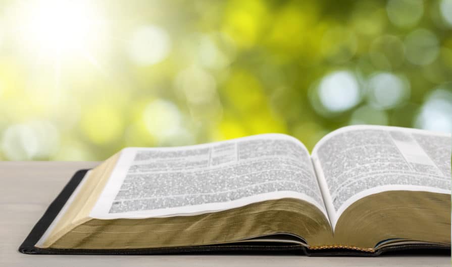 Разбор: Бог любит грешника, но ненавидит грех?