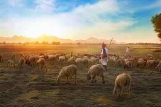 Чем должен заниматься пастор?