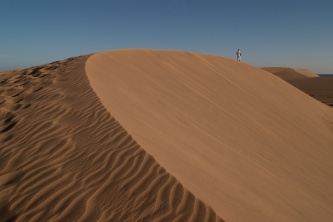 Читаем Библию: идеальная организация