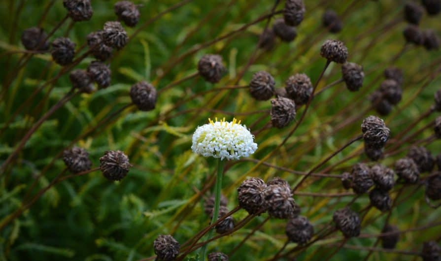 Только ли вера во Христа спасает?