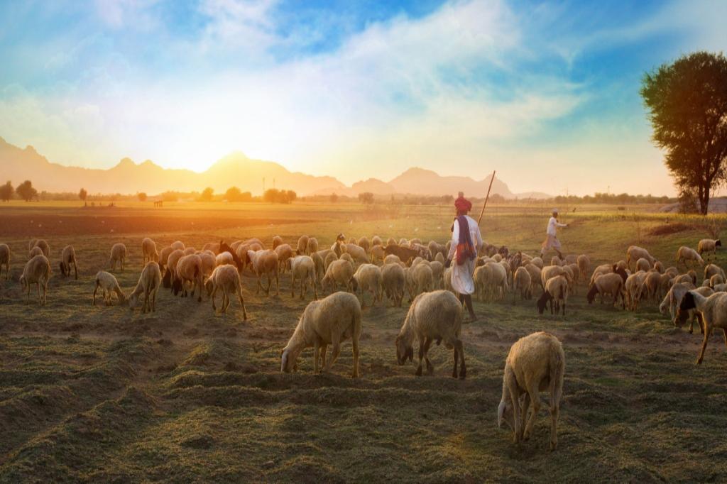 Чем должен заниматься пастор?