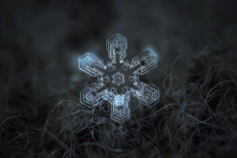 Логика: конкретизация абстрактного